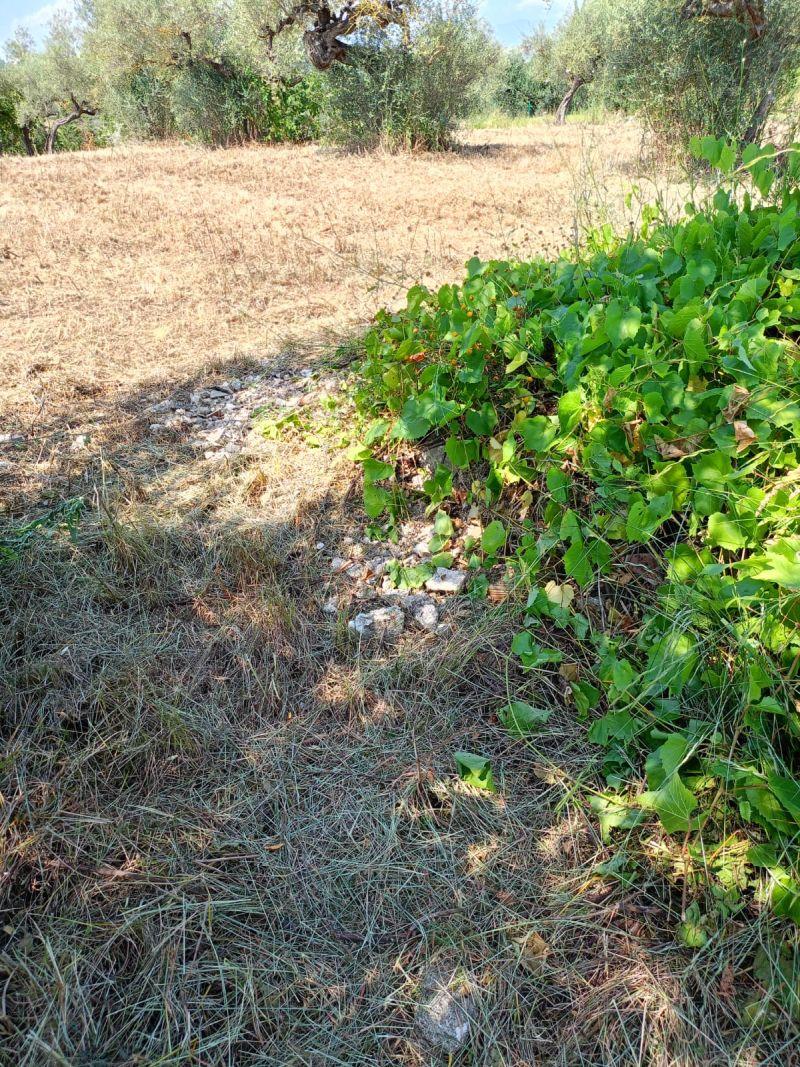 immobile terreno all'asta in contrada Gallo Loreto Aprutino (PE) - 2