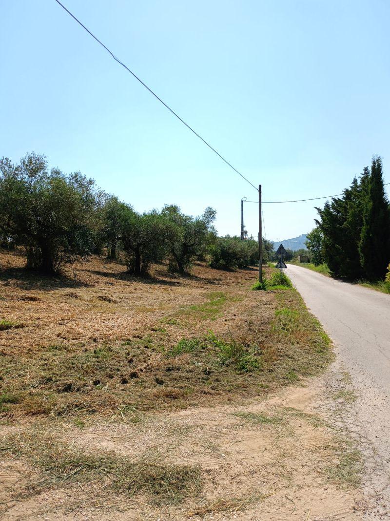 immobile terreno all'asta in contrada Gallo Loreto Aprutino (PE) - 4
