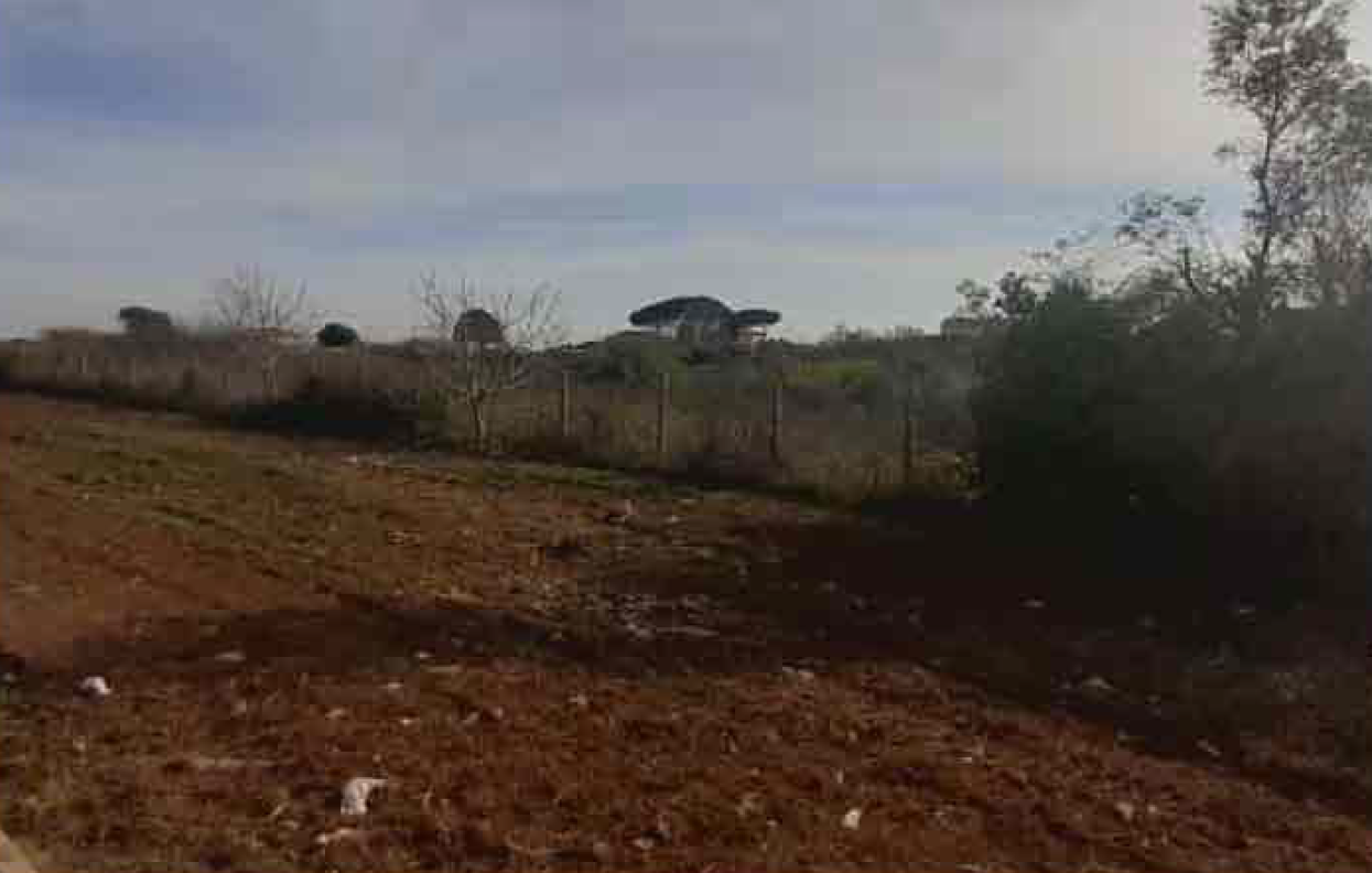 immobile terreno all'asta in Via dei Peri snc - 00071 Roma (RM) - 1