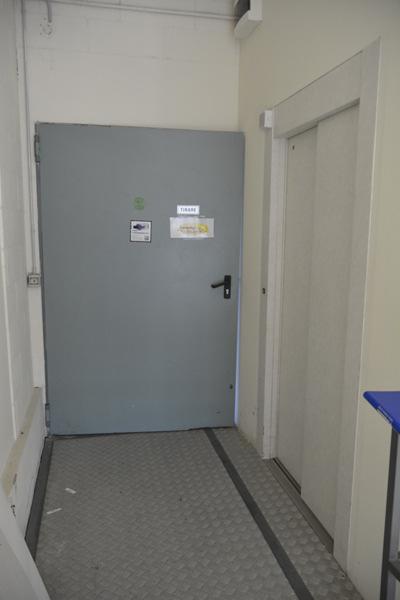 immobile capannone all'asta in VIA DEL FEO LOCALITA' MIGLIARINO Vecchiano (PI) - 5