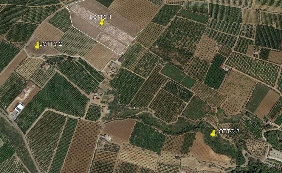 immobile terreno all'asta in Contrada Cesine snc - 87074 Rocca Imperiale (CS) - 1
