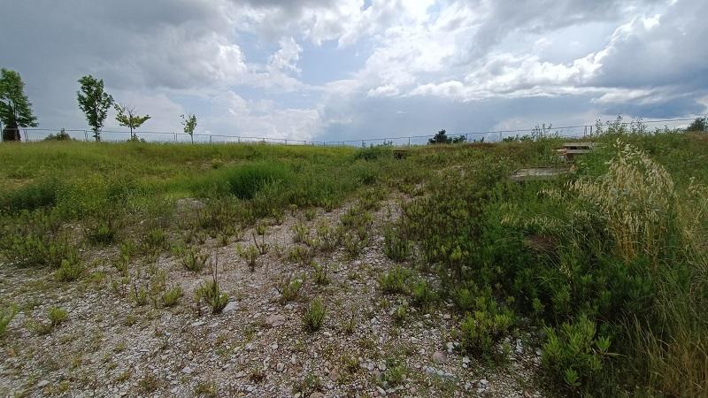 immobile terreno all'asta in FRAZ CERQUETO LOCALITA' IL CASALE - 06055 Marsciano (PG) - 1