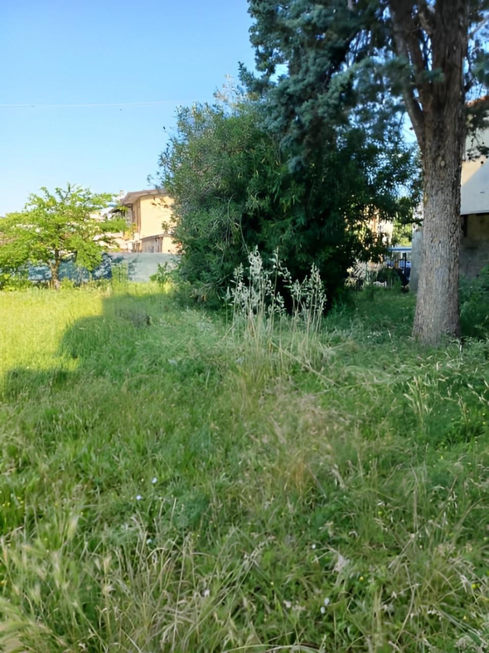 immobile APPARTAMENTO ALL'ASTA IN VIA ROMA, SALZANO (VE) - 3