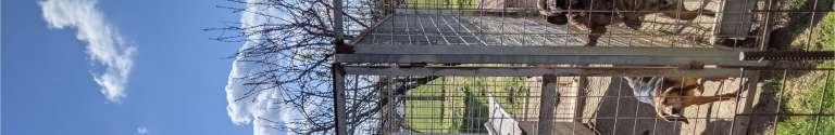 immobile compendio all'asta in Loc Sprondoro Frazione Levane - 52025 Montevarchi (AR) - 1