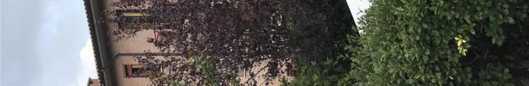 immobile appartamento all'asta in VIA DI POGGIO FALOPPO N26 - 53042 Chianciano Terme (SI) - 2