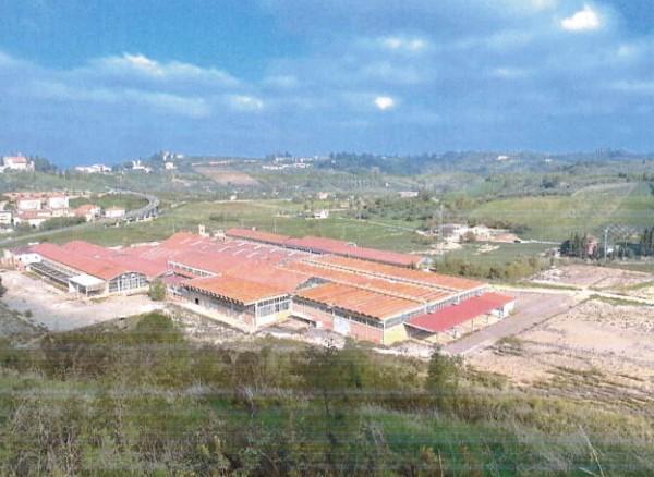 immobile terreno all'asta in Zona Castelfiorentino snc - 50051 Castelfiorentino (FI) - 5