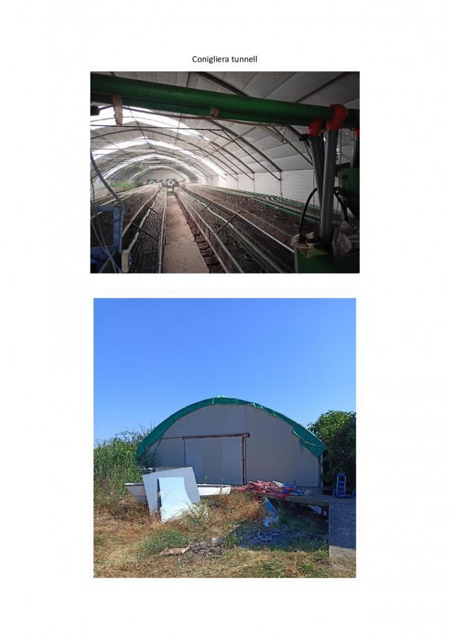 immobile attivita commerciale all'asta in Terzo Cavone, Via Piemonte, 48 - 75020 Scanzano Jonico (MT) - 4