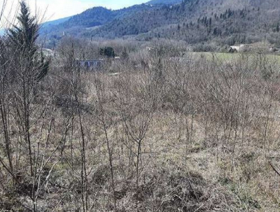 immobile terreno all'asta in Via di Masseto snc - 50068 Rufina (FI) - 4