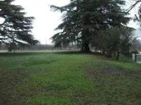 immobile capannone all'asta in Via del Senio - 48010 Casola Valsenio (RA) - 5