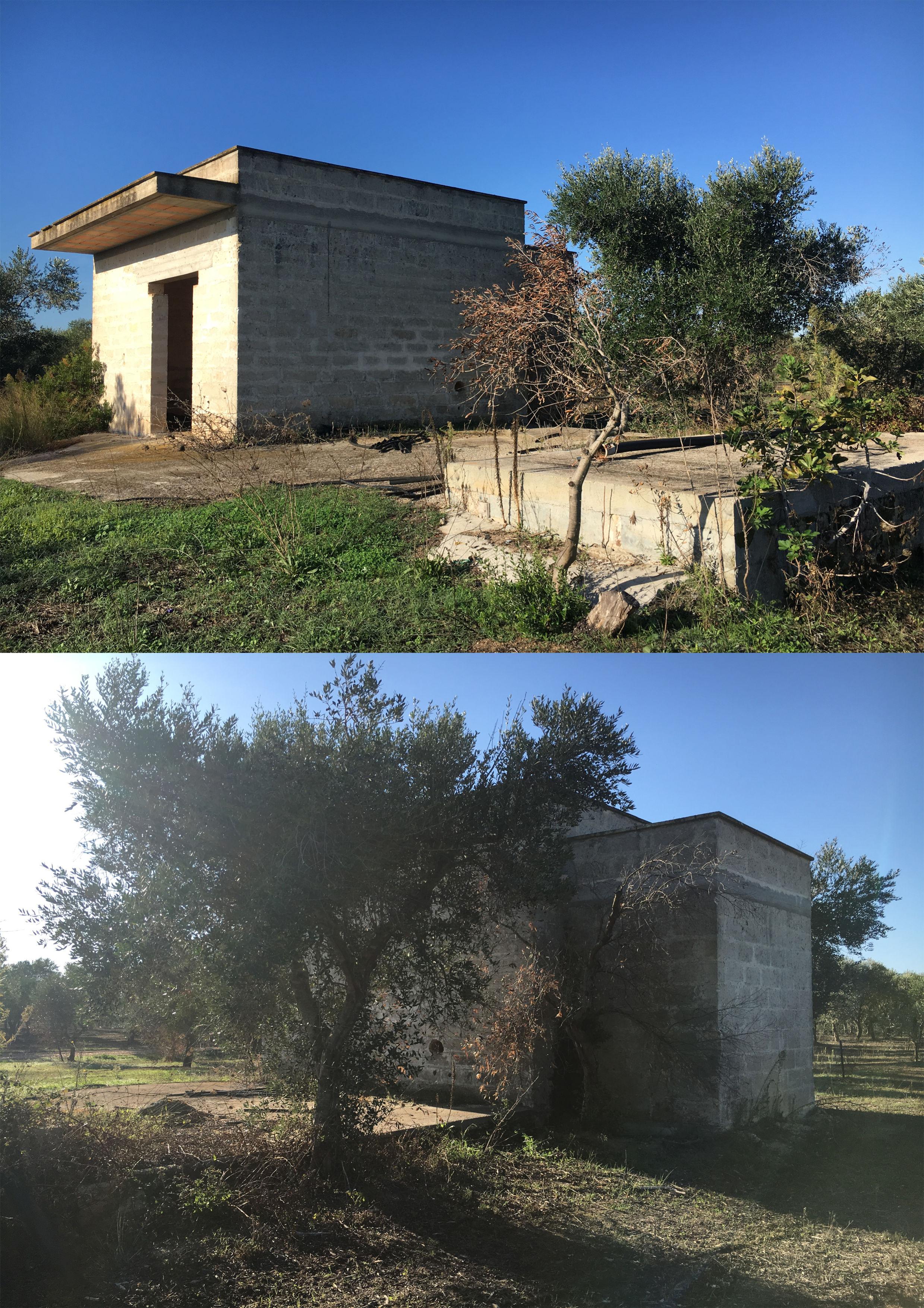 immobile terreno all'asta in Masseria Chiodi Nardò (LE) - 3