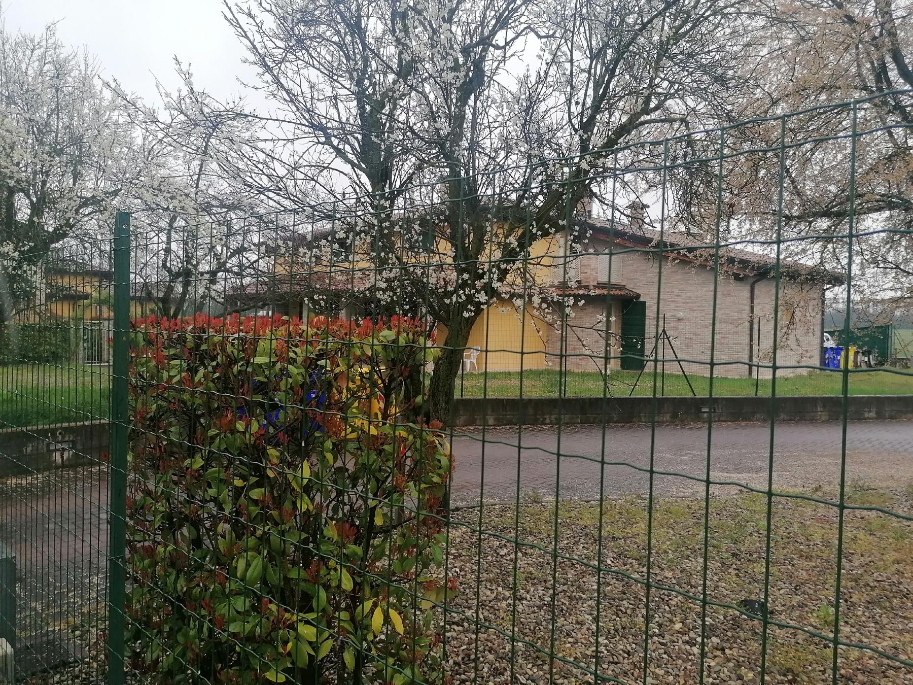 immobile appartamento all'asta in Parma, Fraz Vigatto, Loc Alberi di Vigatto, Via Monte Prinzera, 20/22 - 43124 Parma (PR) - 4