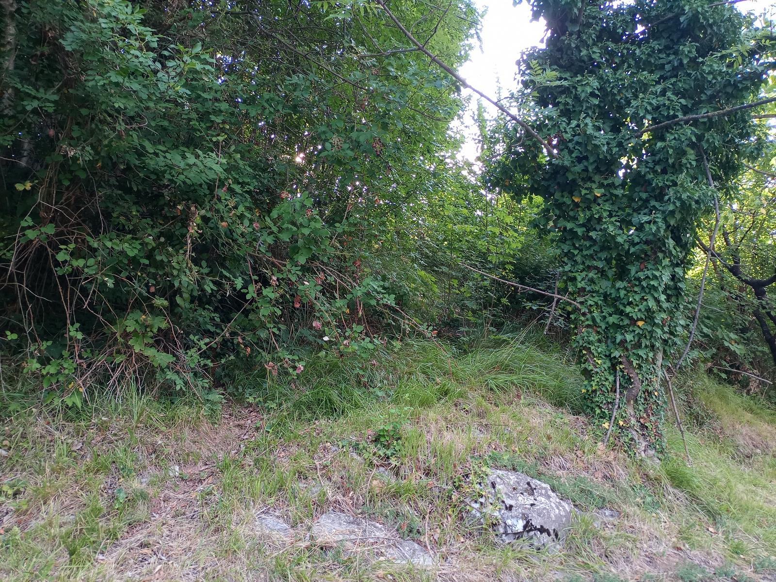 immobile terreno all'asta in VIA LACCA,35 Alzano Lombardo (BG) - 4