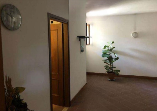 immobile cantina all'asta in Via Valle del Formale 16/L - 00039 Zagarolo (RM) - 4