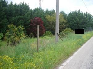 immobile appartamento all'asta in Via Don G Minzoni, 128 - 45010 Ceregnano (RO) - 1