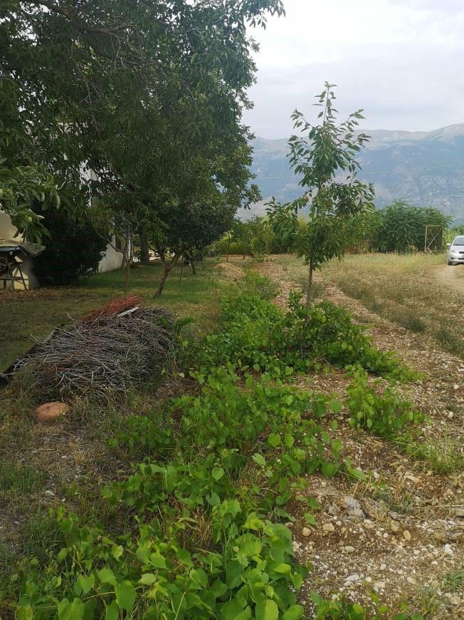 immobile terreno all'asta in Localita' Ponte La Torre - 67035 Pratola Peligna (AQ) - 3