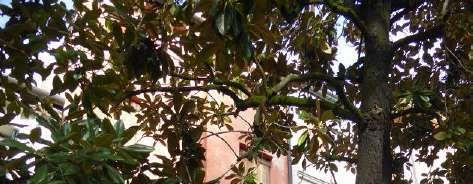 immobile ufficio all'asta in Piazza del Duomo, 14 - 31100 Treviso (TV) - 2