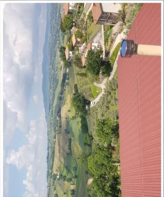 immobile terreno all'asta in Loc Montepennino - 06036 Montefalco (PG) - 1