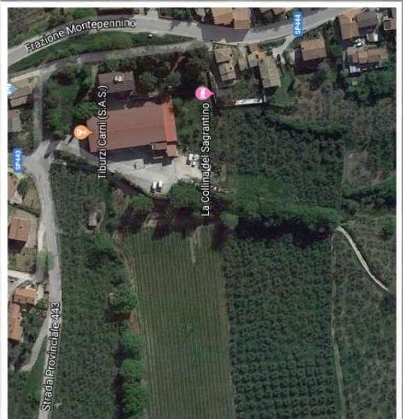 immobile terreno all'asta in Loc Montepennino - 06036 Montefalco (PG) - 5