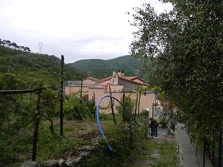 immobile appartamento all'asta in Via boragni 51 - 17020 Tovo San Giacomo (SV) - 5