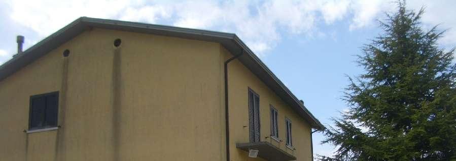 immobile magazzino all'asta in contrada Macchia - 82020 Circello (BN) - 2