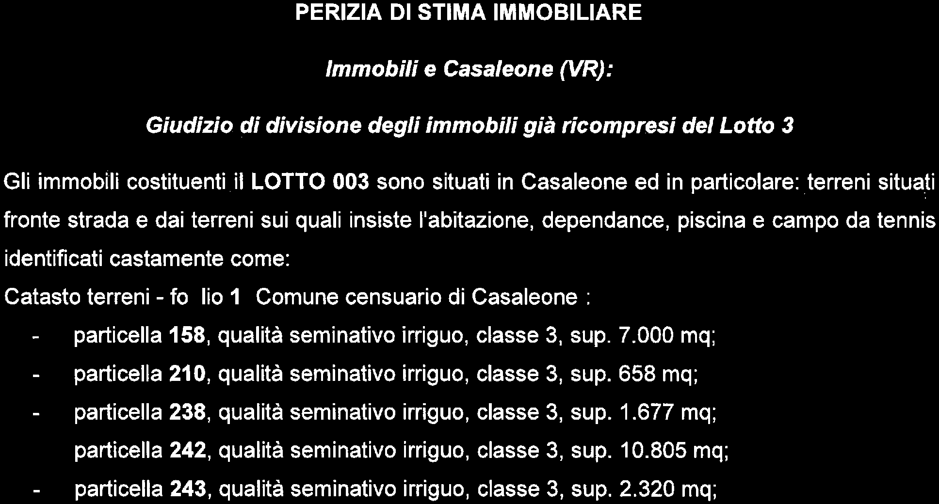 immobile terreno all'asta in Via Foresti 2 Casaleone (VR) - 3
