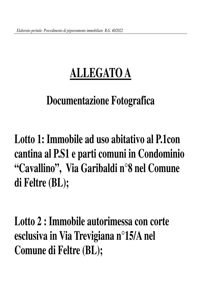 immobile garage all'asta in VIA TREVIGIANA 15/A - 32032 Feltre (BL) - 1