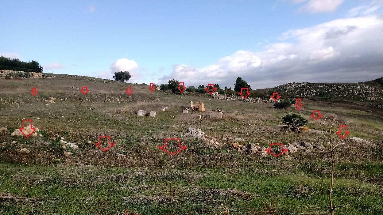 immobile terreno all'asta in Contrada Tenutella - 92029 Ravanusa (AG) - 2