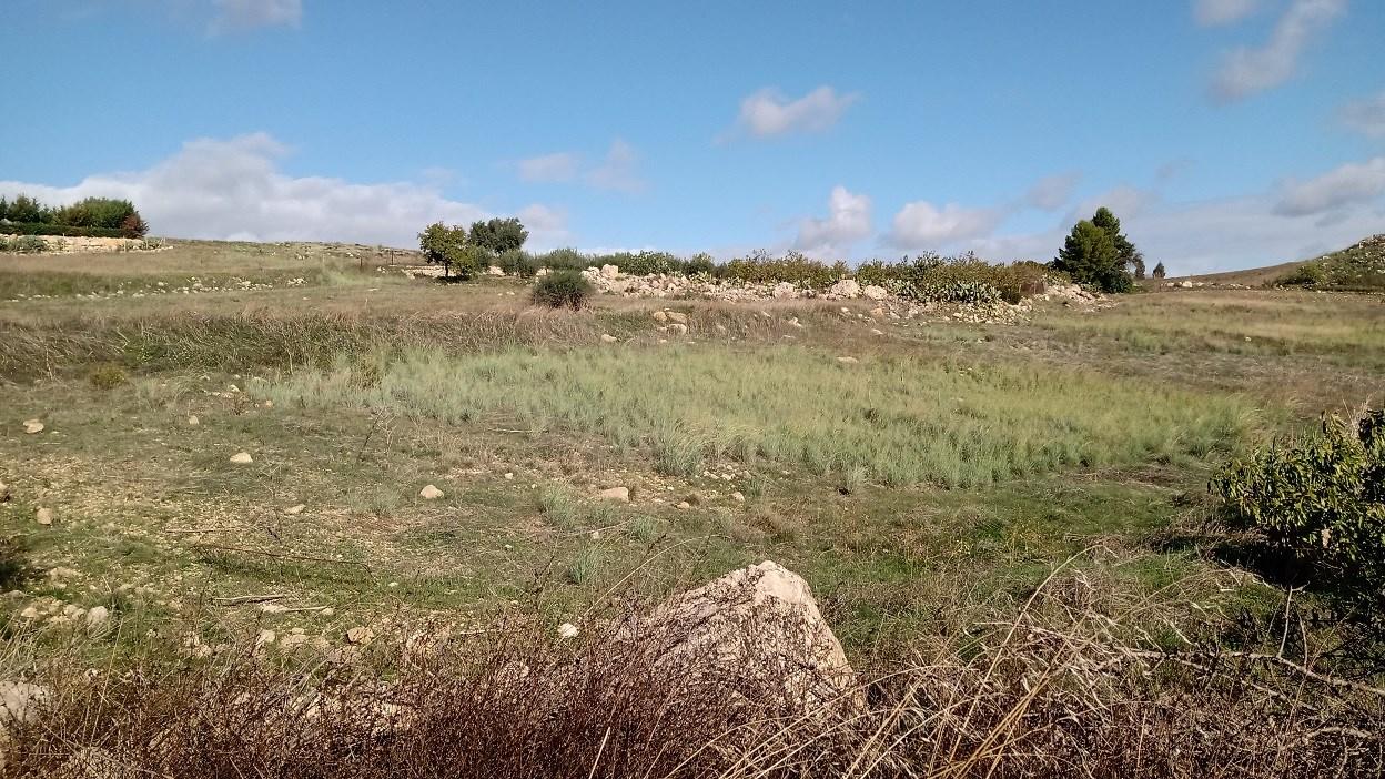 immobile terreno all'asta in Contrada Tenutella - 92029 Ravanusa (AG) - 3