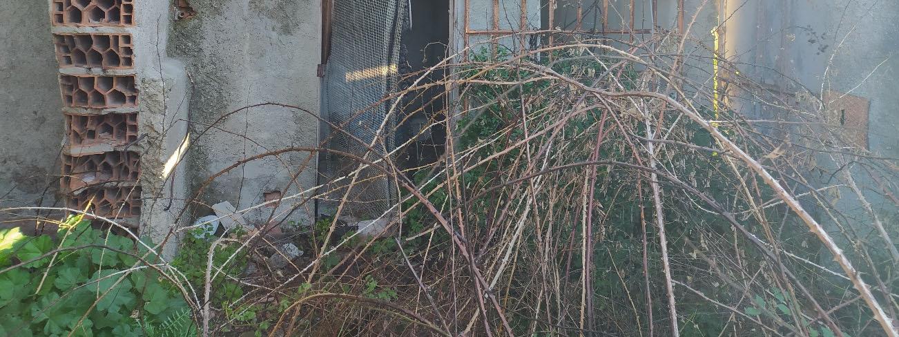immobile casa singola all'asta in Via Provinciale Snc - 98045 San Pier Niceto (ME) - 2