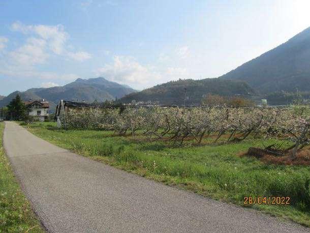 immobile terreno all'asta in Localita' Maso Puller - 38057 Pergine Valsugana (TN) - 1