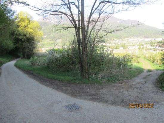 immobile terreno all'asta in Localita' Maso Puller - 38057 Pergine Valsugana (TN) - 3