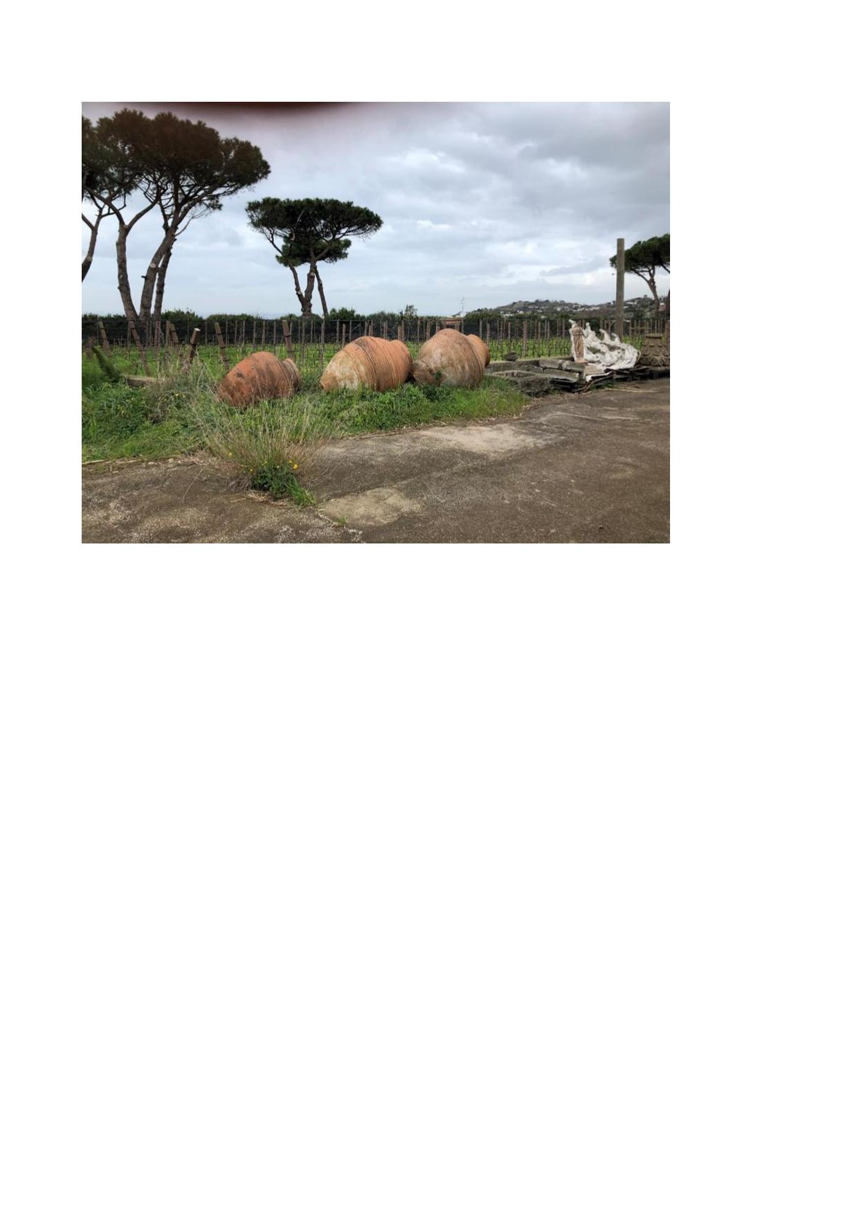 immobile magazzino all'asta in Via Provinciale Panza, 476 Forio (NA) - 4
