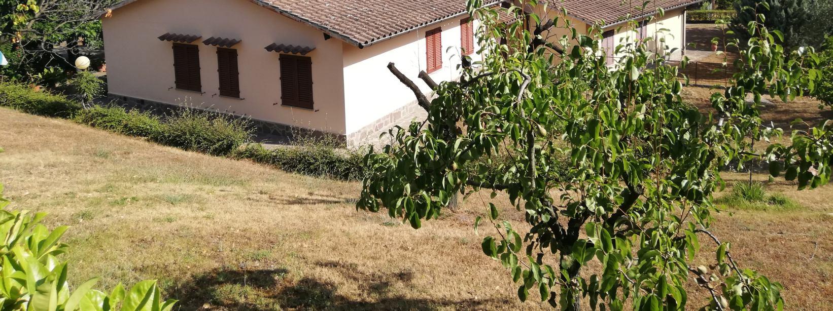 immobile appartamento all'asta in Localita' Santa Lucia 6 - 50062 Dicomano (FI) - 2