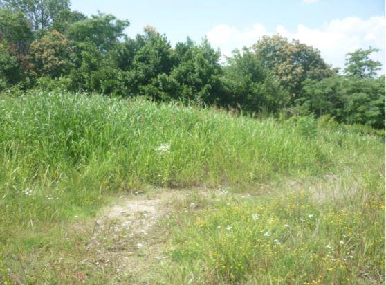 immobile terreno all'asta in Via Lovera 28 - 25030 Erbusco (BS) - 3