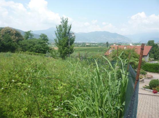 immobile terreno all'asta in Via Lovera 28 - 25030 Erbusco (BS) - 1