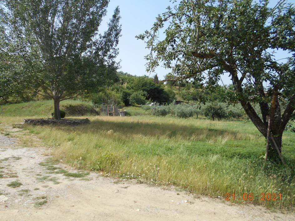immobile appartamento all'asta in Localita' Santa Maria Bassetto - 50052 Certaldo (FI) - 4