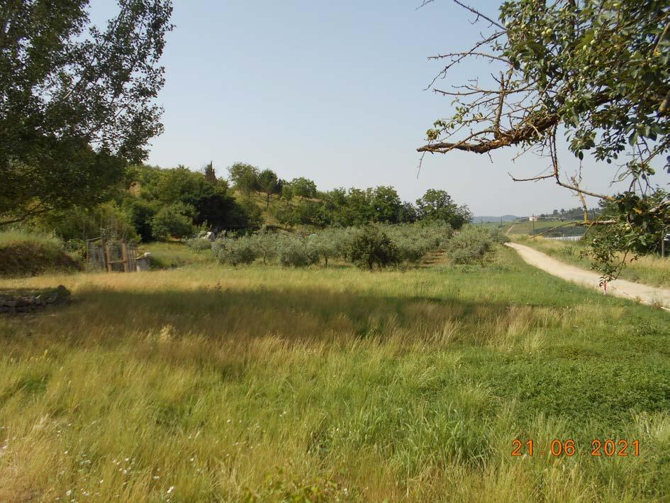 immobile appartamento all'asta in Localita' Santa Maria Bassetto - 50052 Certaldo (FI) - 5