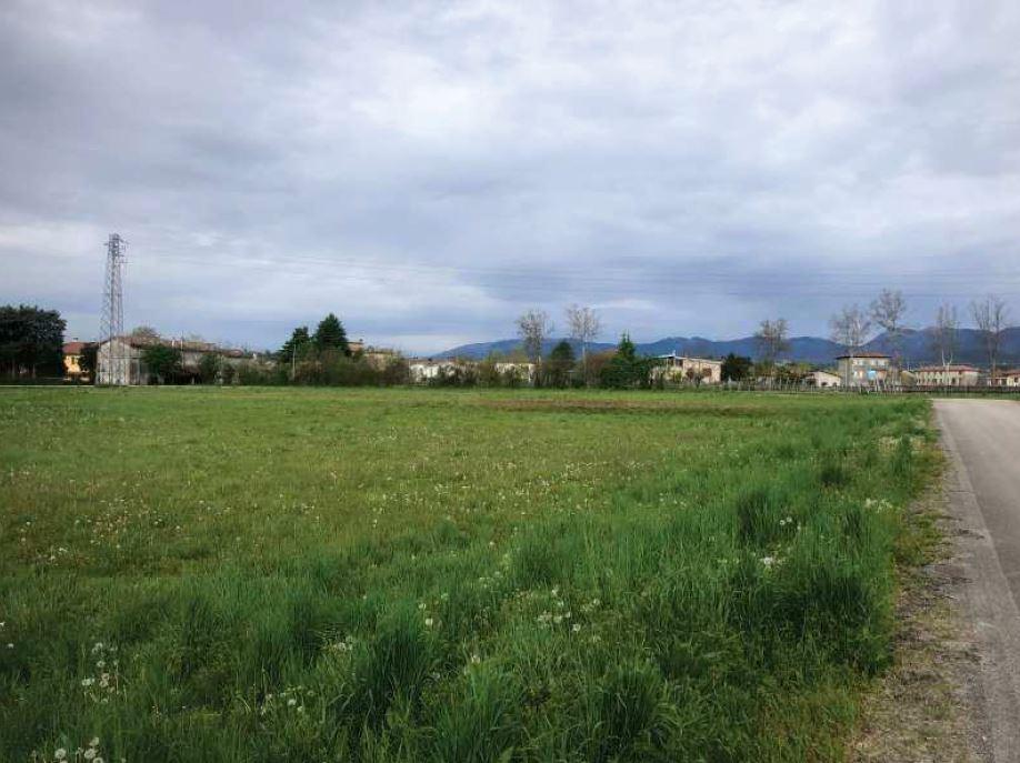 immobile terreno all'asta in Via Carnielli - 31014 Colle Umberto (TV) - 1