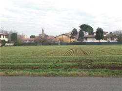 immobile terreno all'asta in Via Arno Ferno (VA) - 2