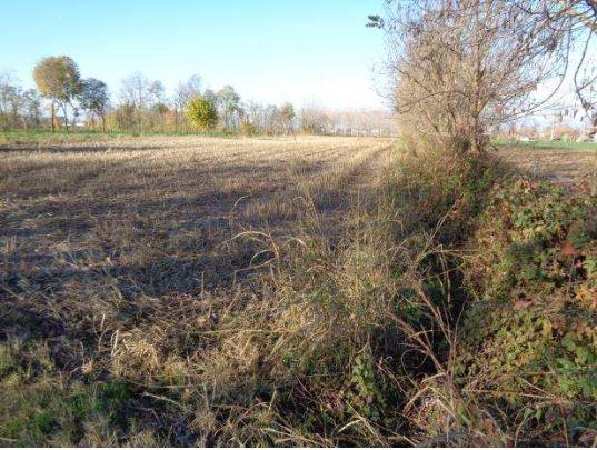 immobile terreno all'asta in Frazione Treville, Via Panigaia, 18 - 31033 Castelfranco Veneto (TV) - 1