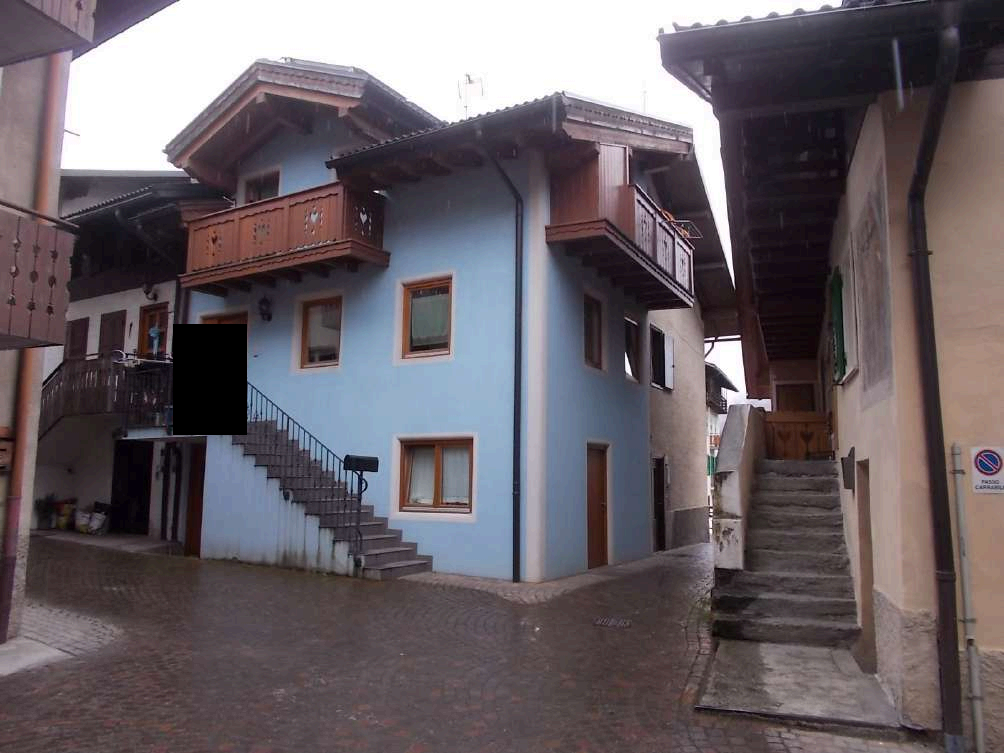 immobile terreno all'asta in Via San Giacomo - TONADICO - 38054 Primiero San Martino di Castrozza (TN) - 2