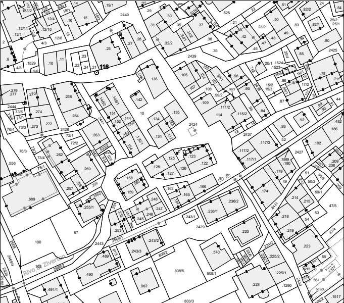 immobile terreno all'asta in Via San Giacomo - TONADICO - 38054 Primiero San Martino di Castrozza (TN) - 3