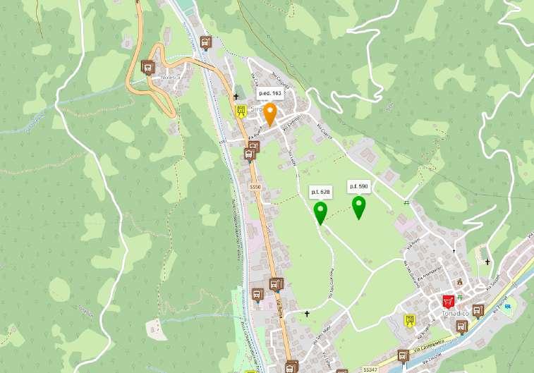 immobile terreno all'asta in Via San Giacomo - TONADICO - 38054 Primiero San Martino di Castrozza (TN) - 5