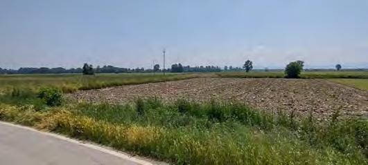 immobile terreno all'asta in Frazione Aliarolo e Gerre Ghiozzo snc - 27051 Cava Manara (PV) - 2
