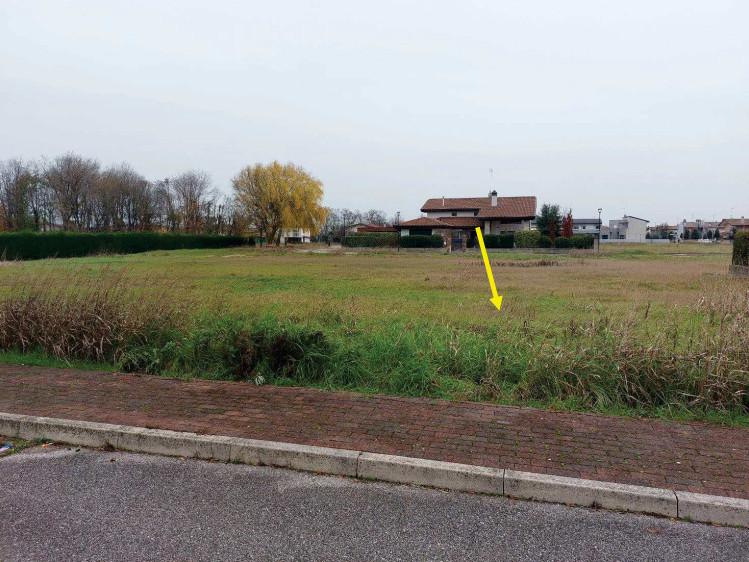 immobile terreno all'asta in Cesarolo, Vicolo della Vigna - 30028 San Michele al Tagliamento (VE) - 1