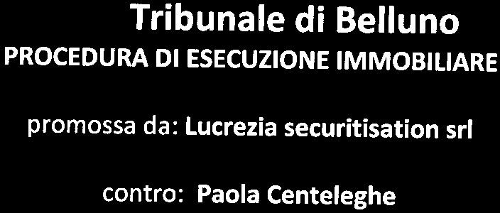 immobile appartamento all'asta in Loc Roncoi di Dentro, 70 - 32030 San Gregorio nelle Alpi (BL) - 3