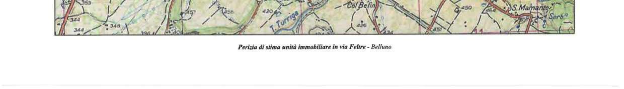 immobile appartamento all'asta in Via Feltre, 53 - 32100 Belluno (BL) - 4