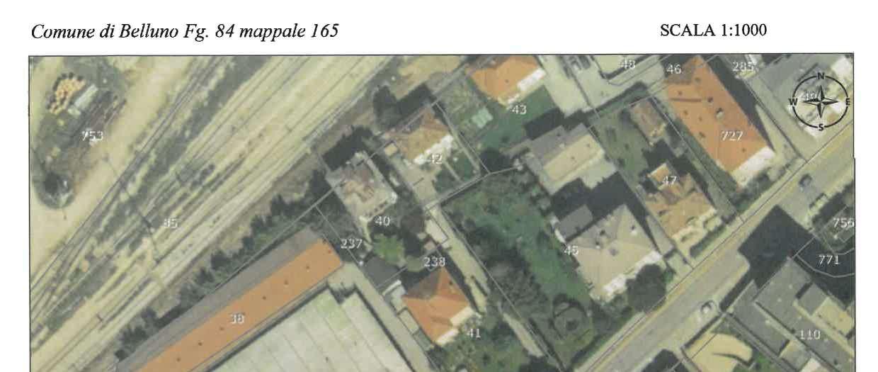 immobile appartamento all'asta in Via Feltre, 53 - 32100 Belluno (BL) - 5