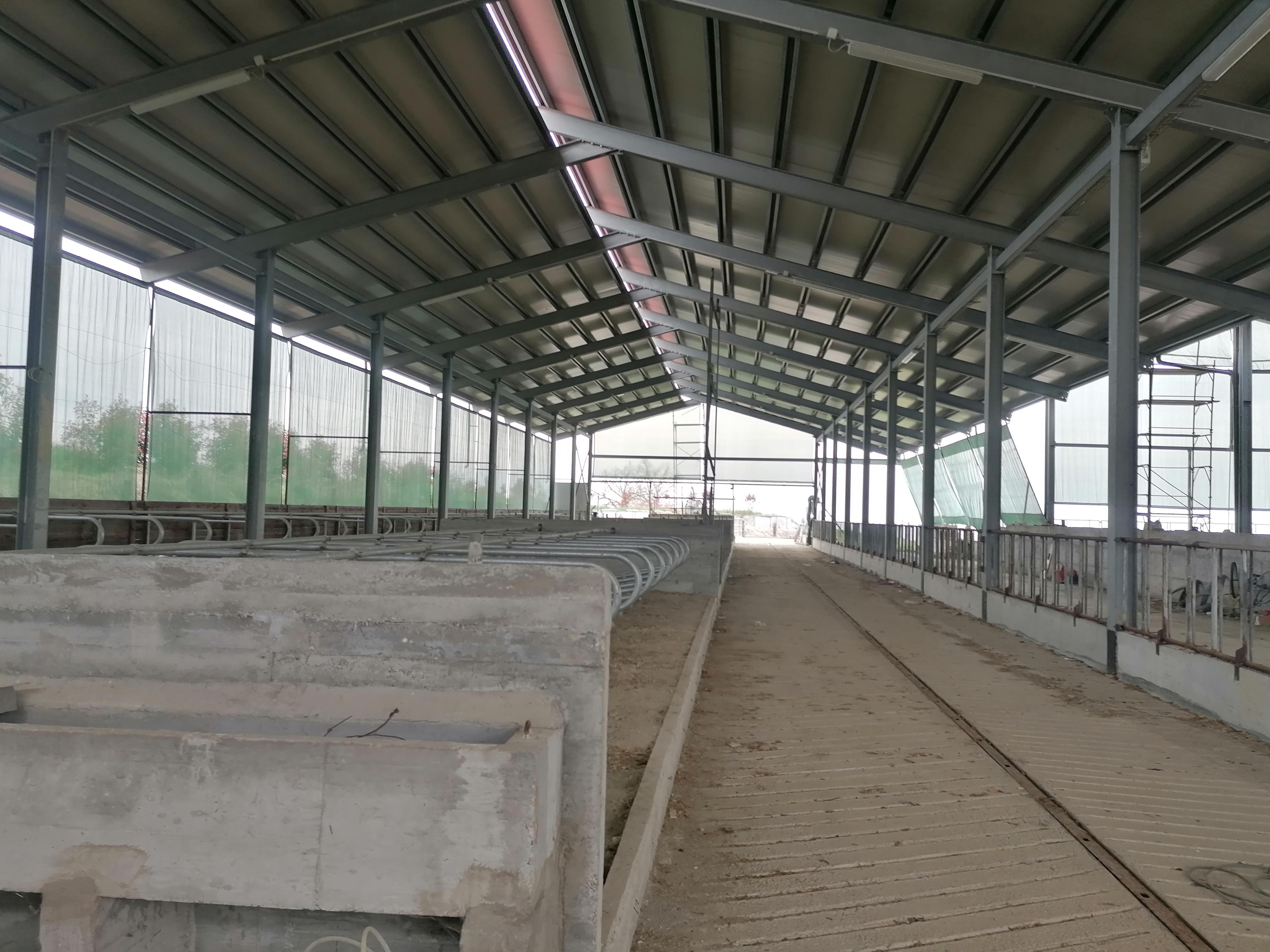 immobile rustico all'asta in Noceto, Loc Costamezzana, Via Costa Pavesi, 26 - 43015 Noceto (PR) - 4