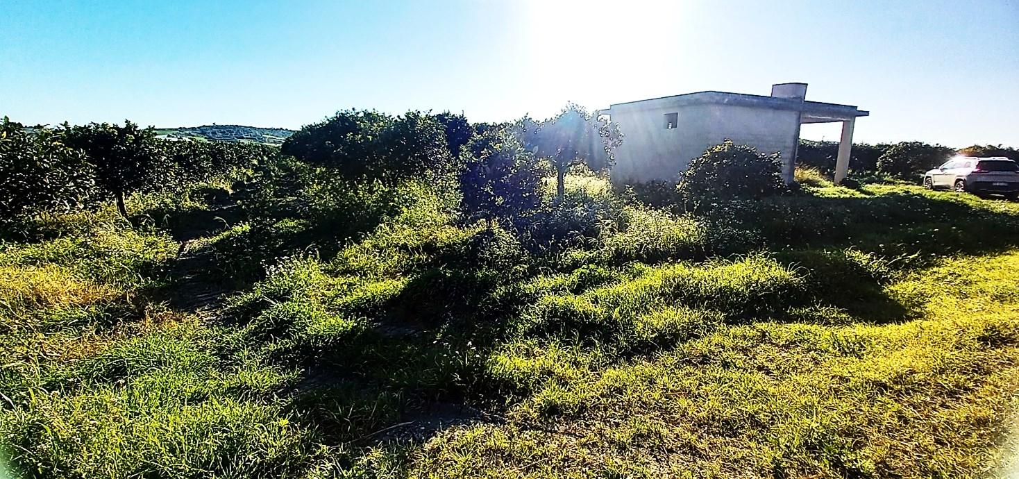 immobile terreno all'asta in cda bucachemi - 96100 Noto (SR) - 5